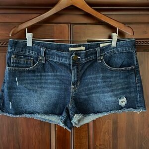 Gap Limited Edition Denim Shorts Size 32
